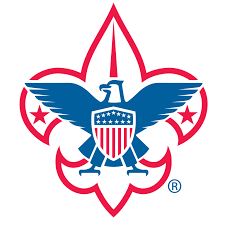 BSA Logo